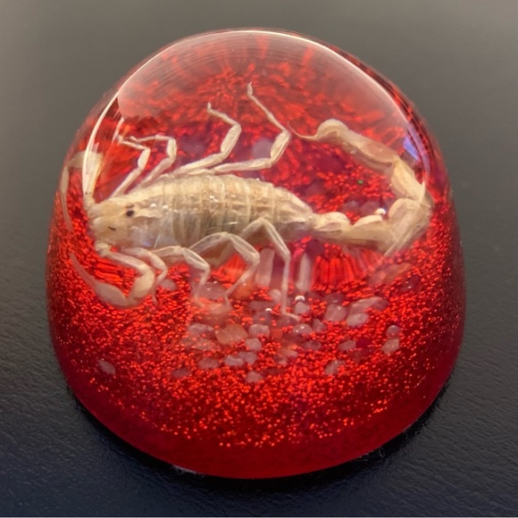 Scorpion Paperweight Acrylic Resin Dome Red Base with Glitter Felt Bottom - Picture 12 of 14
